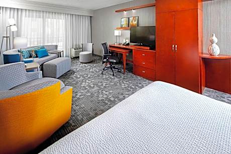 Larger Guest room, 1 King, Sofa bed
