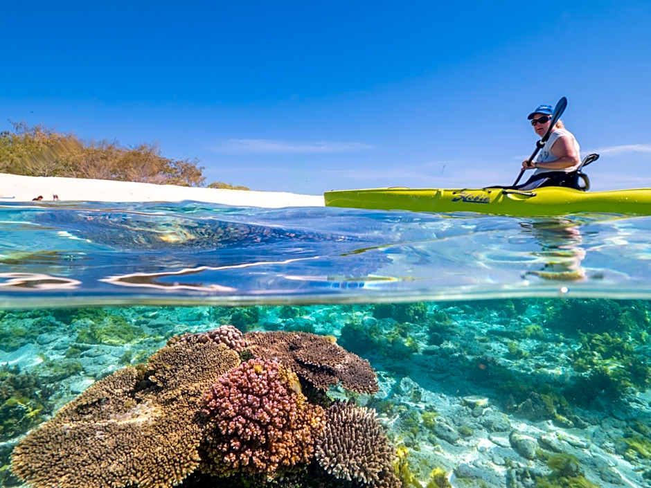 Wilson Island