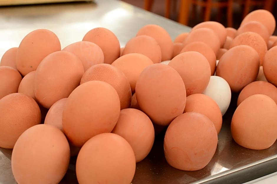 Hotel Srní depandance - Šumava