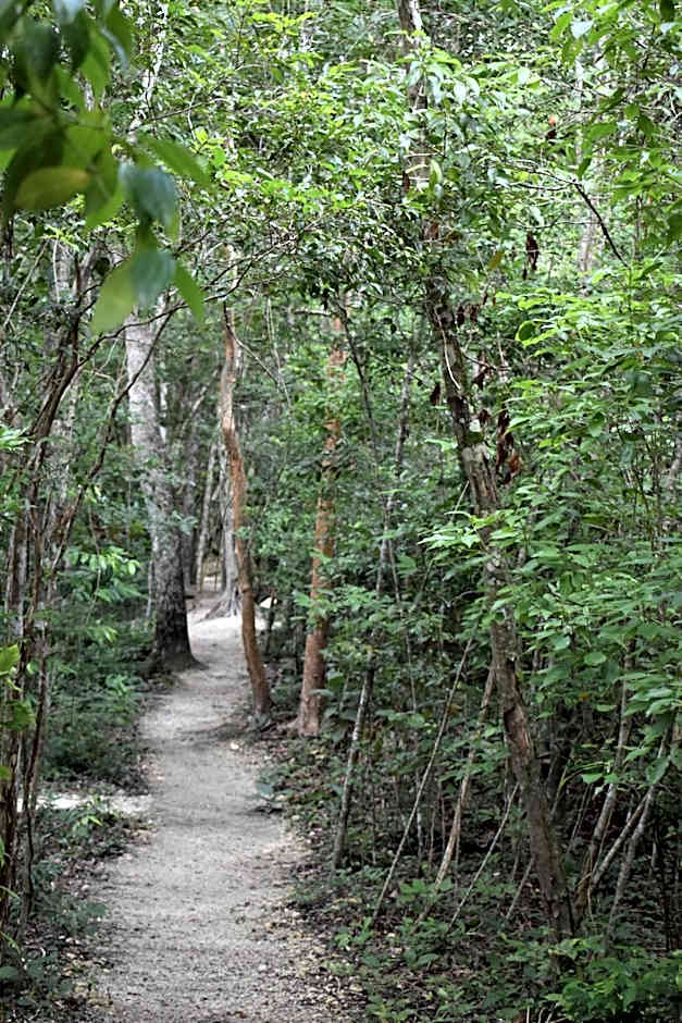 Eco Aldea kinich Ahau Calakmul