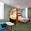 SpringHill Suites by Marriott Houston Downtown/Convention Center