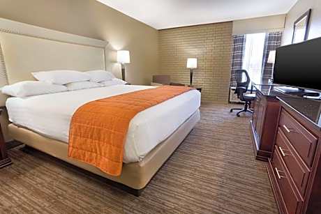 Deluxe King Room - Accessible, Roll-in Shower