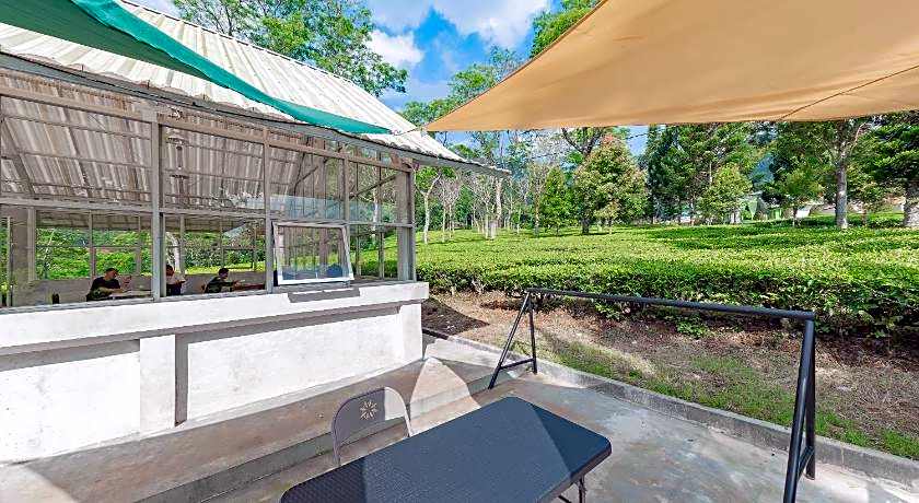 RedDoorz Syariah @ Gambung Ciwidey