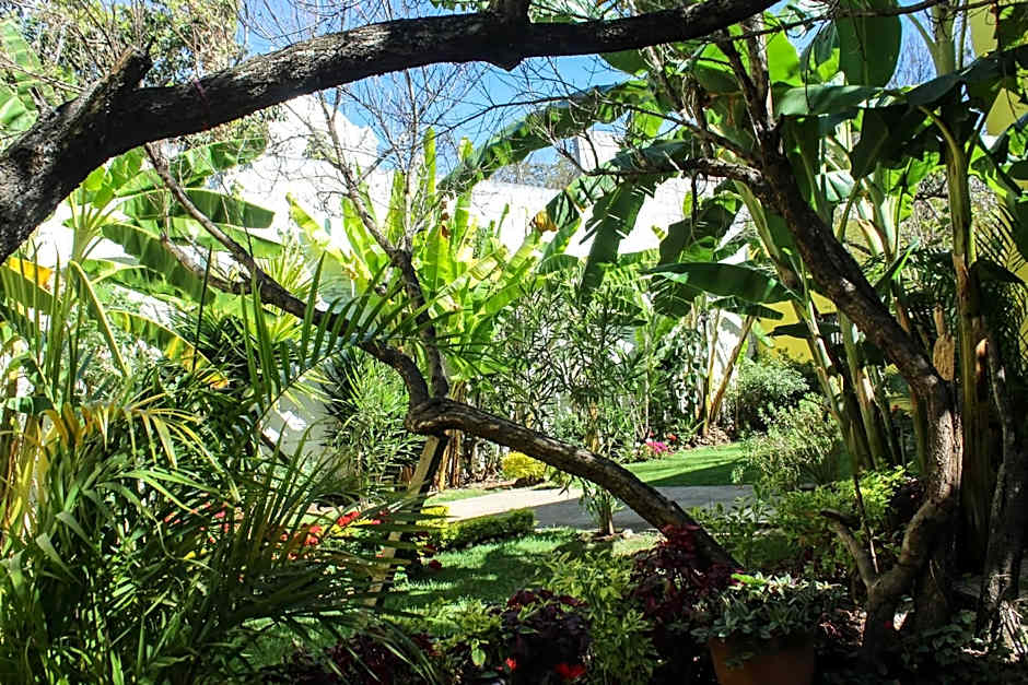 Jardines de Luz
