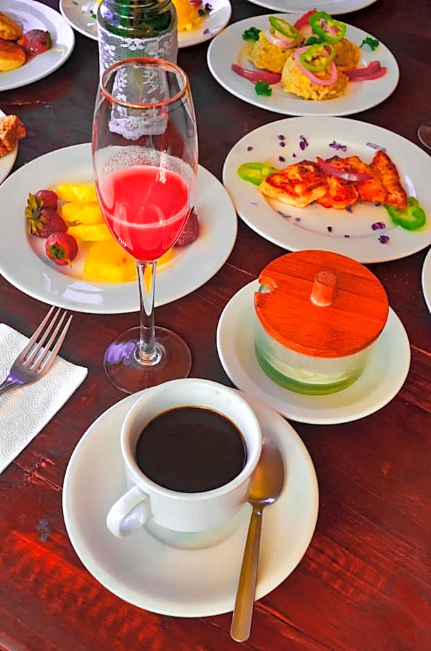 Hotel Rancho Constanza