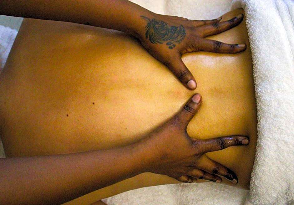 The Hive - Jungle at Misty Mountain Reserve