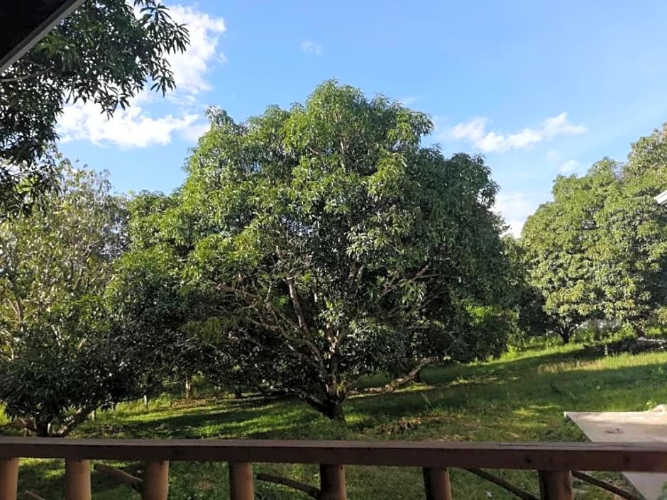 Balai Mariacaria Pension House