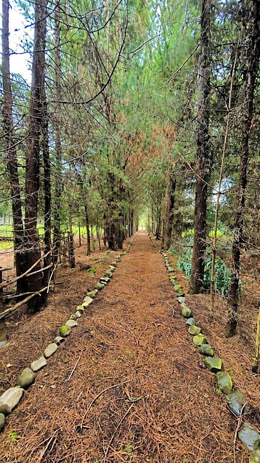 Rancho Cumbre Monarca