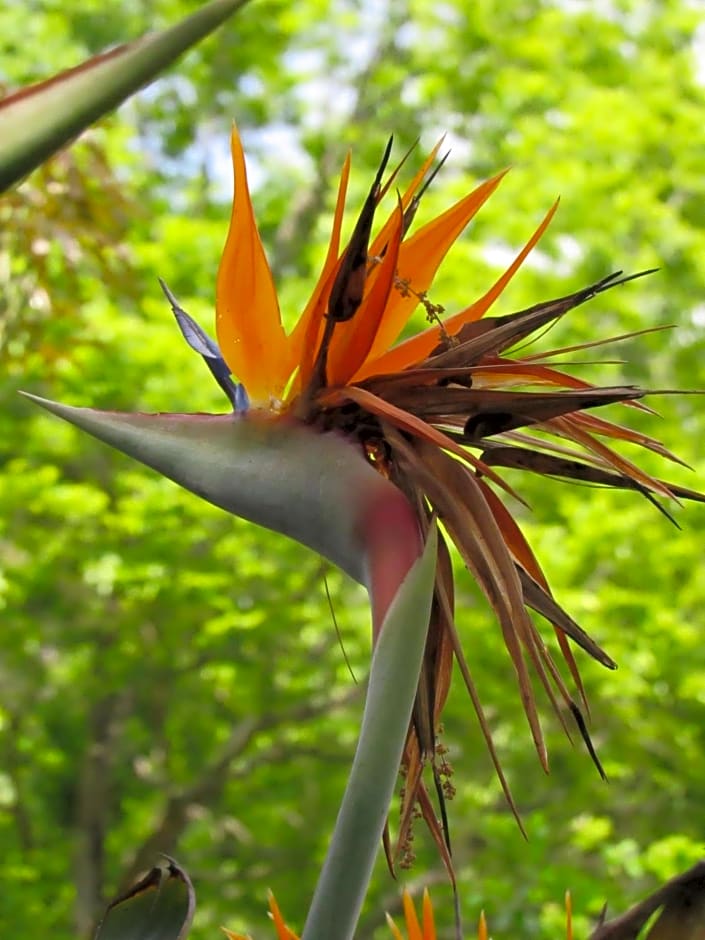 Tegwaan Country Getaway