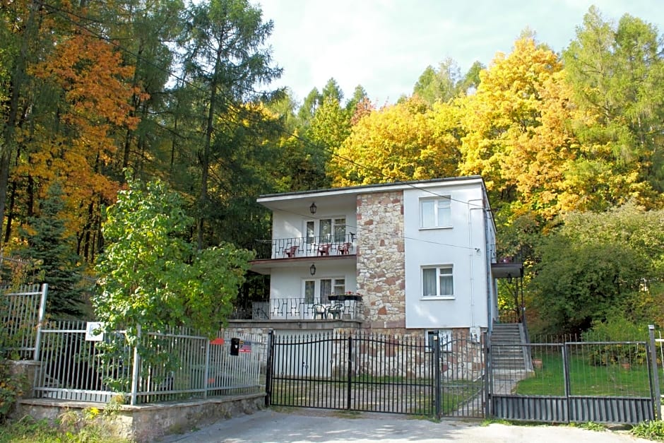 Willa Bona blisko Zamku Królewskiego i Rezerwatu zapraszam na grę miejską Magiczne Chęciny