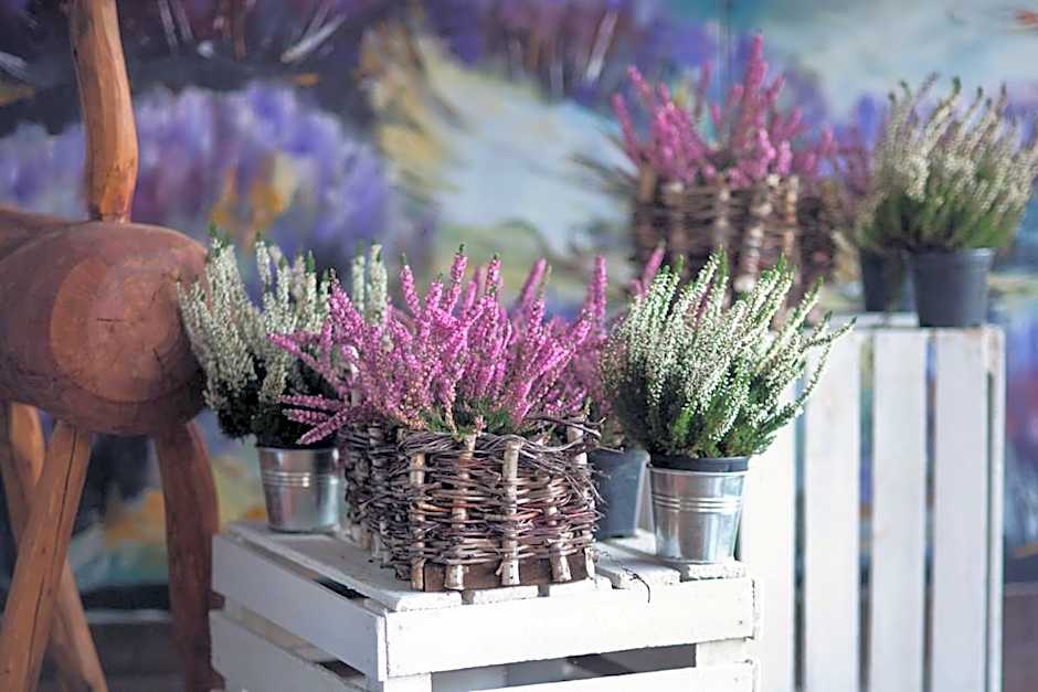 Pensjonat "Jodłowy Dwór"