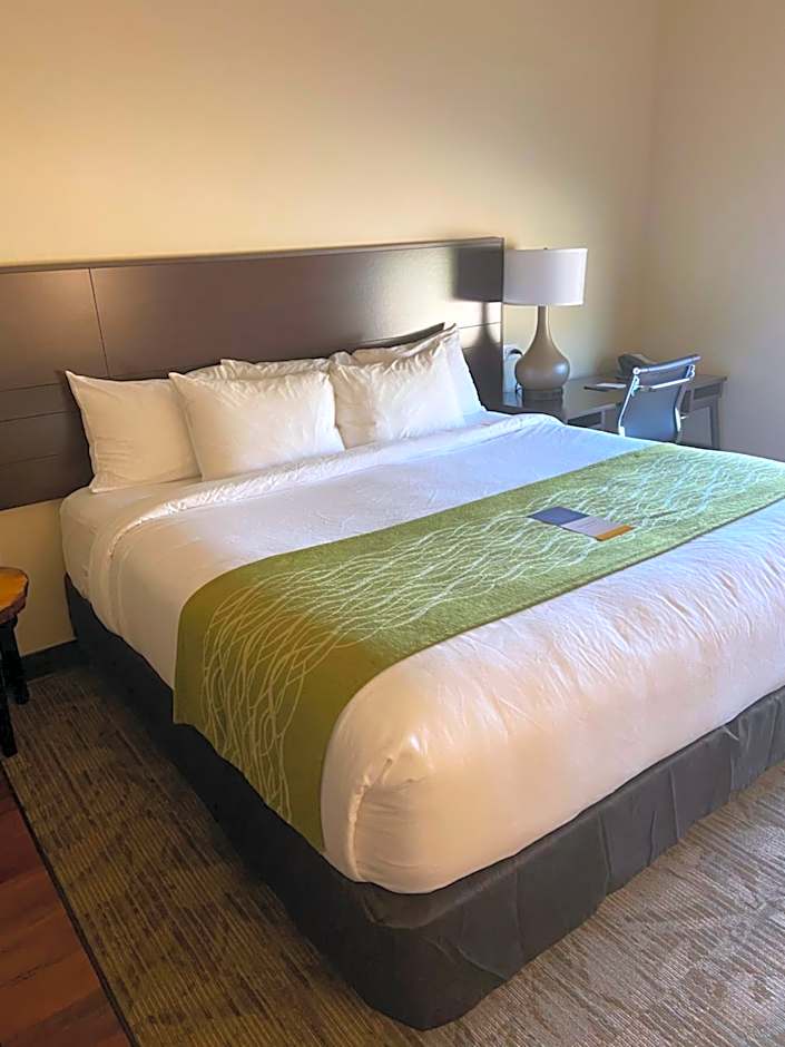 Comfort Inn Connellsville Riverview