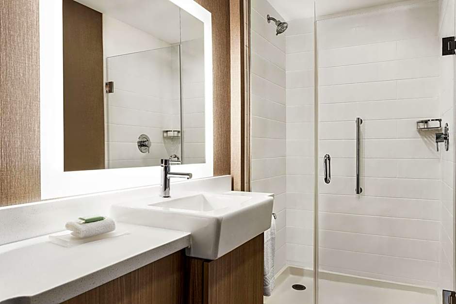 SpringHill Suites by Marriott Camp Hill