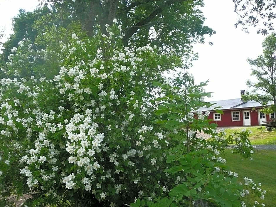 Kullens Bed and Breakfast