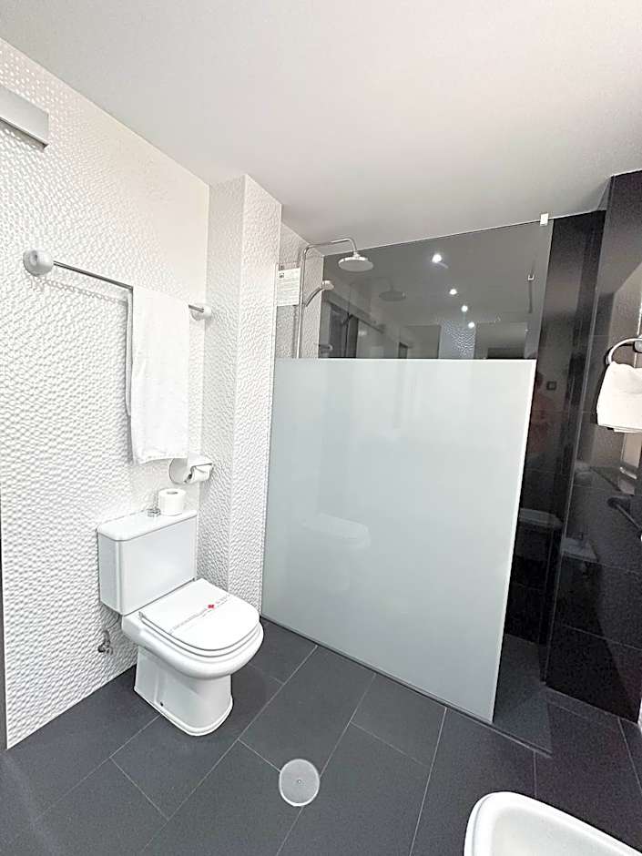 Hotel Avenida de España