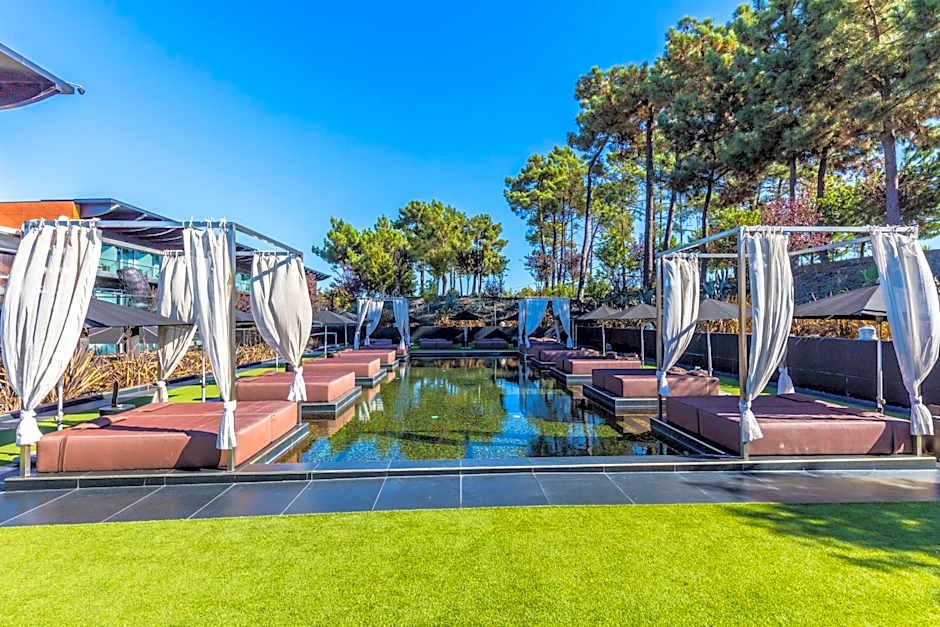 Evidencia Belverde Hotel