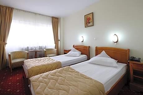 Twin Room with Palace View