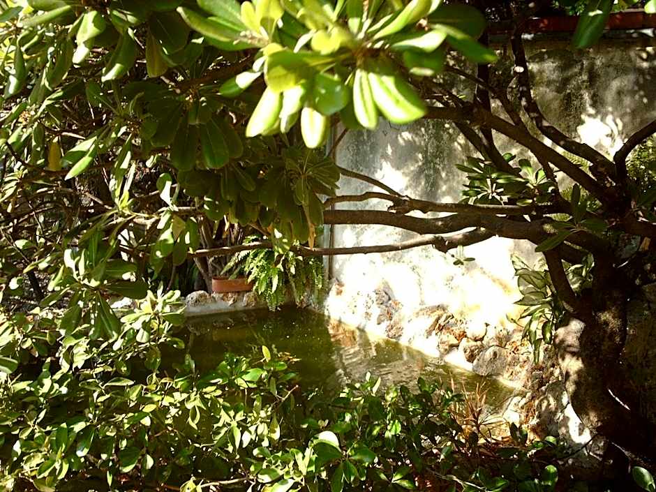 Le Villi FRIENDLY B&B