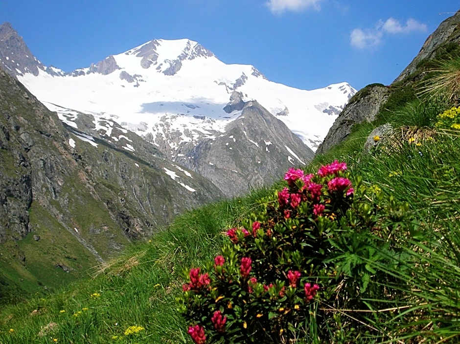 Hotel Gasthof Islitzer