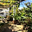 Albourne Guesthouse