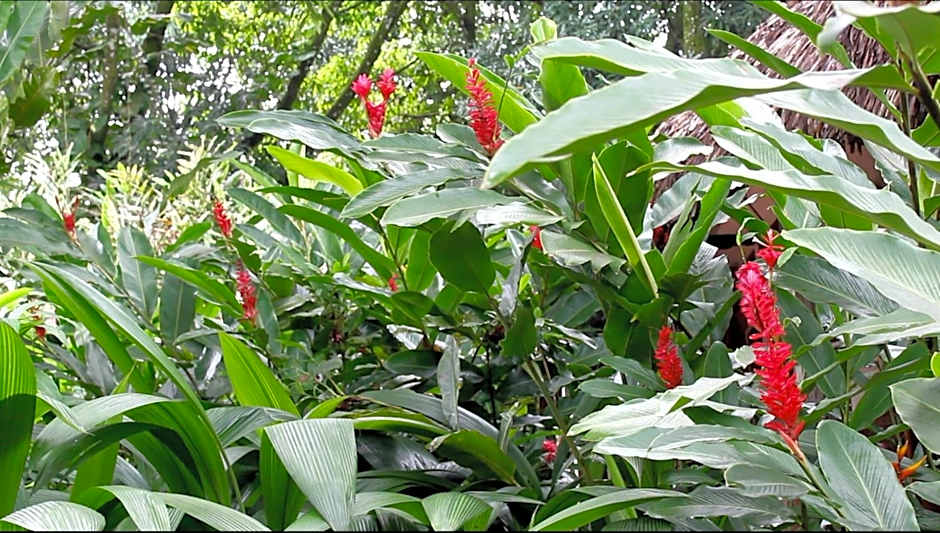 Hotel la Aldea del Halach Huinic