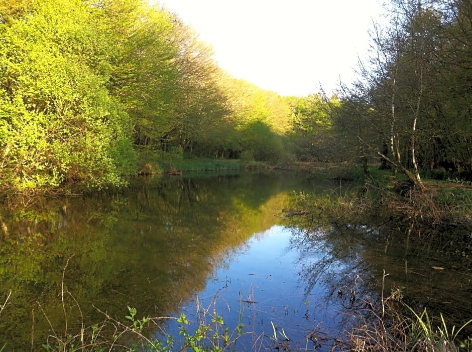 Domaine de la Touche Mosnay