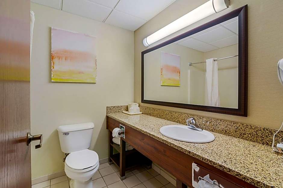 Comfort Inn Bismarck
