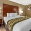 Comfort Inn & Suites Pittsburgh