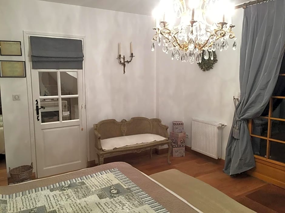 Les Prémices De La Forêt