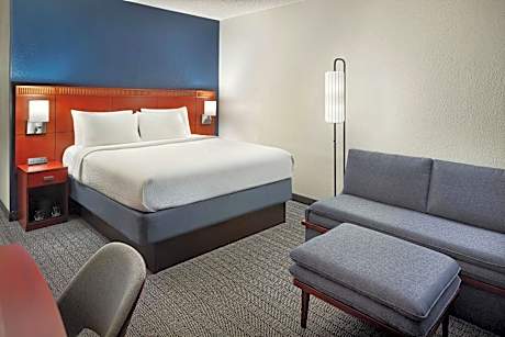 Room, 1 King Bed with Sofa bed (1 King Bed and 1 Double Sofa Bed)