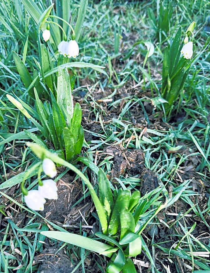 Athol Country Bed & Breakfast