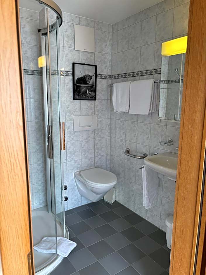 Alpina Boutique Hotel Interlaken - Ringgenberg - Adults only !