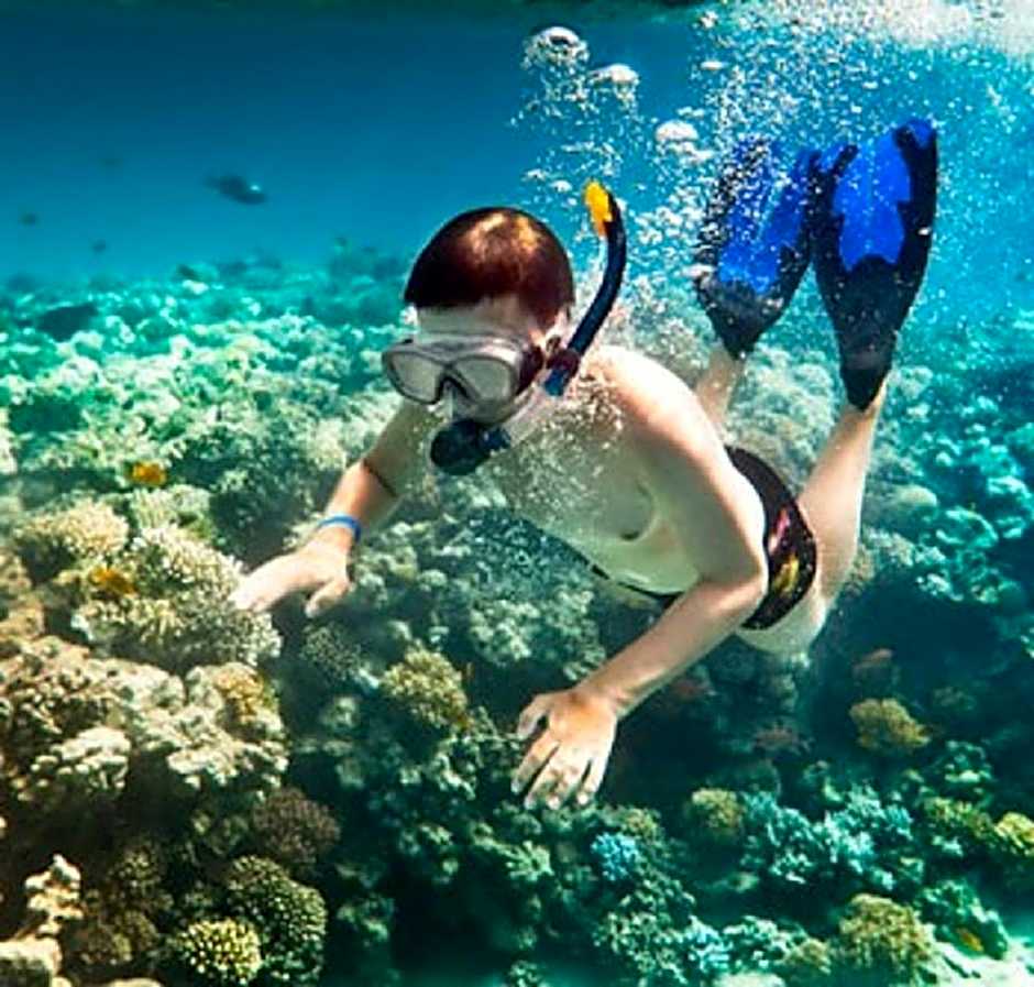 Flame Flowers Homestay