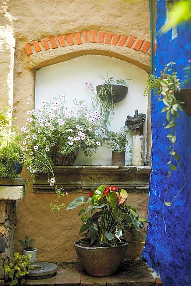 Petit Mesón (Pet Friendly Hotel)