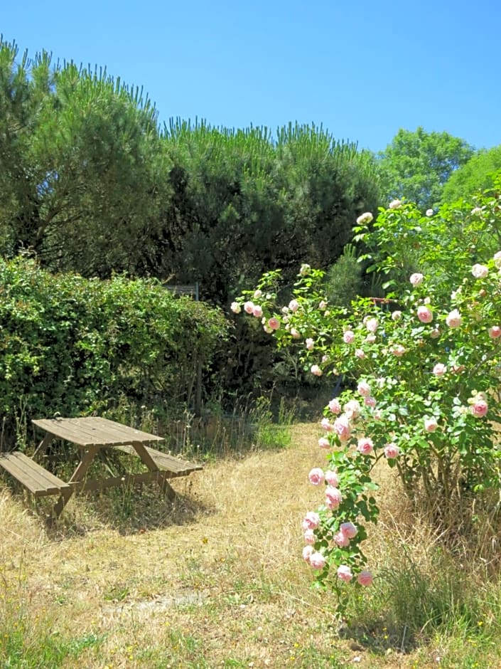 Chambres d'hôtes du Moulin de la Chaussee