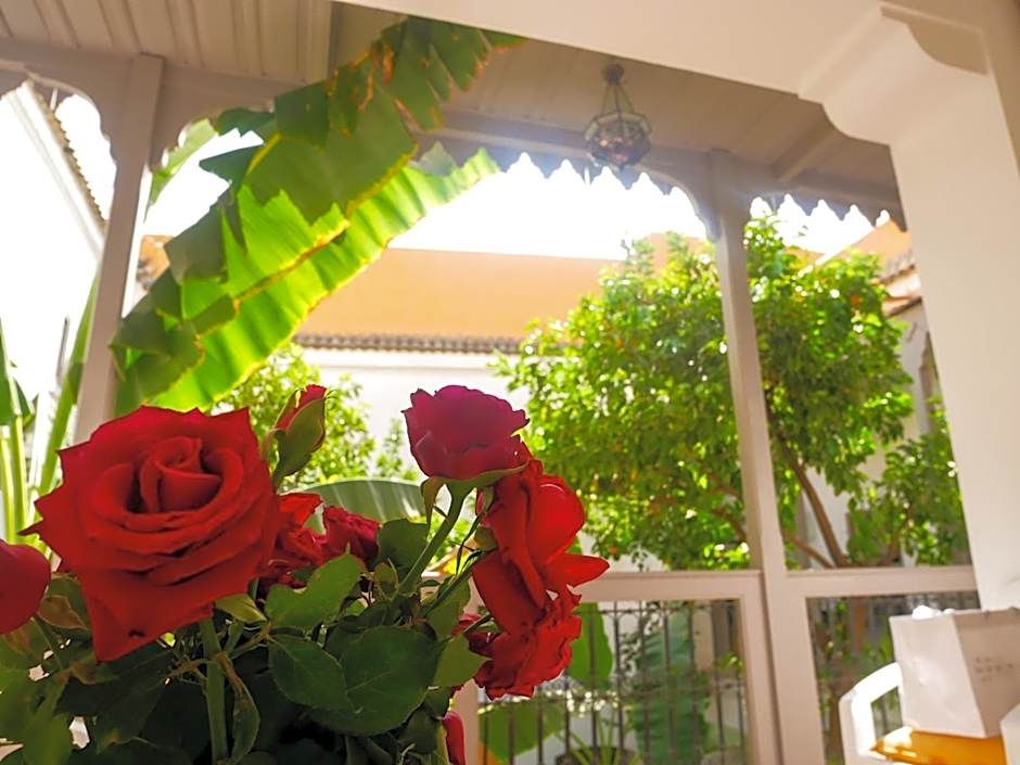 Riad Dar Aman