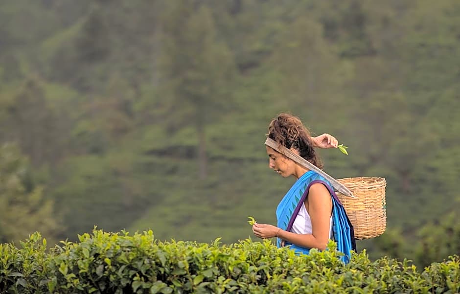 Heritance Tea Factory