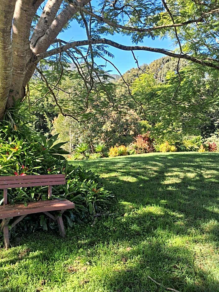 A view of Mount Warning