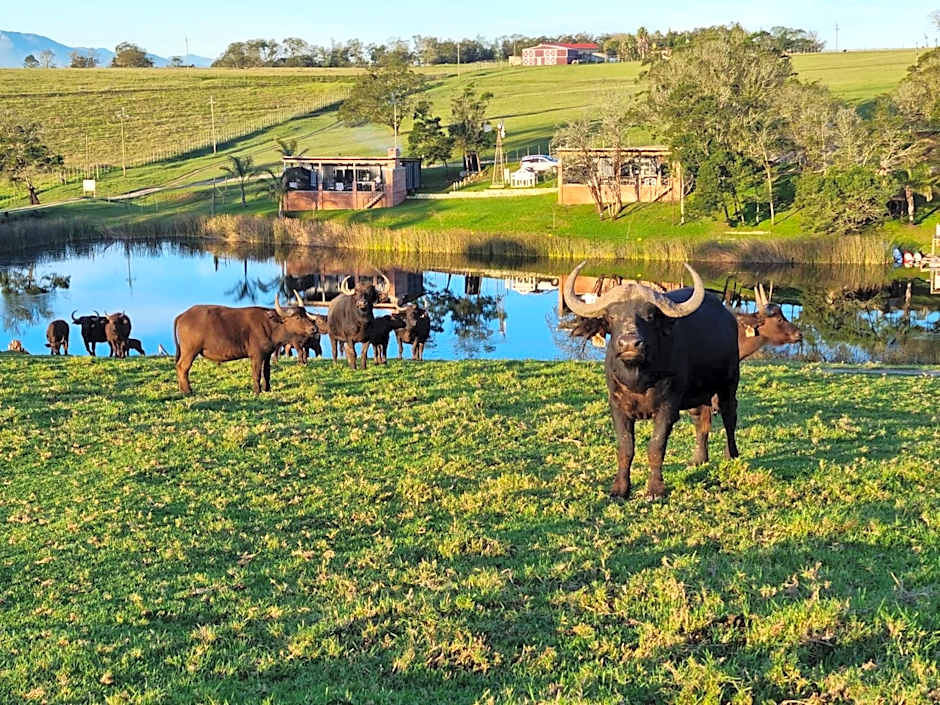 Buff & Fellow Eco Cabins