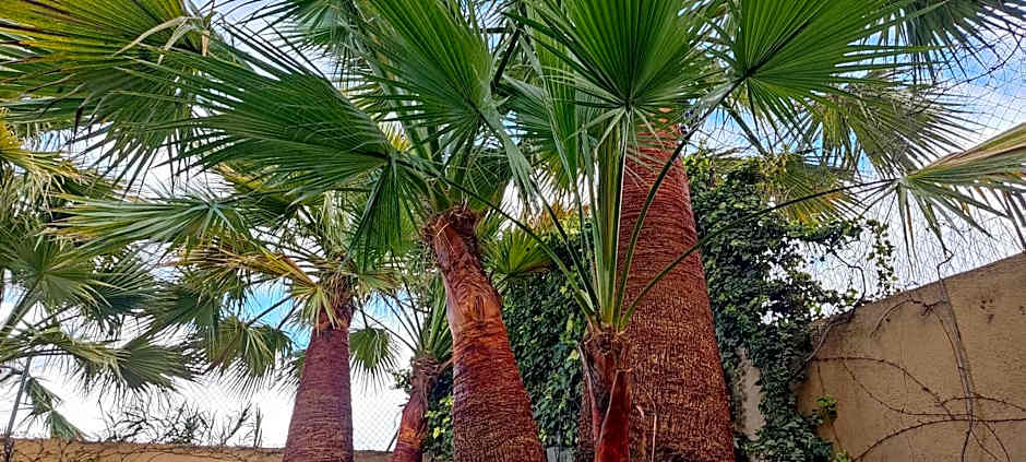 Chalet Trolio bed & breakfast