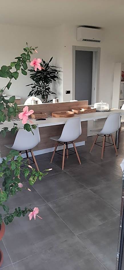 B&B Juniperus