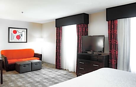 King Studio Suite with Sofa Bed - Non-Smoking