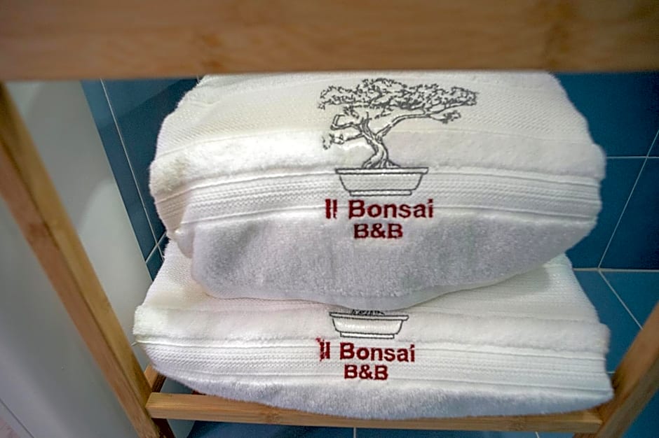 Il Bonsai B&B – Rome
