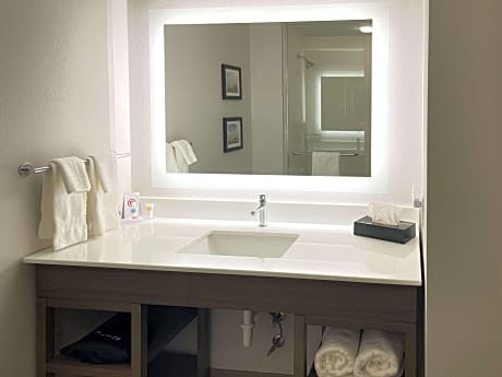 1 King Bed, Nonsmoking, Accessible