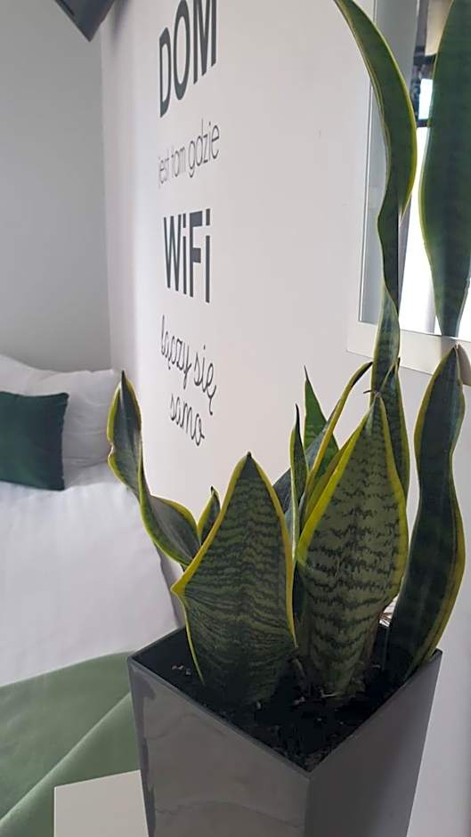 Zajazd CHATA Kębłowo