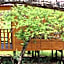 Igula lodge