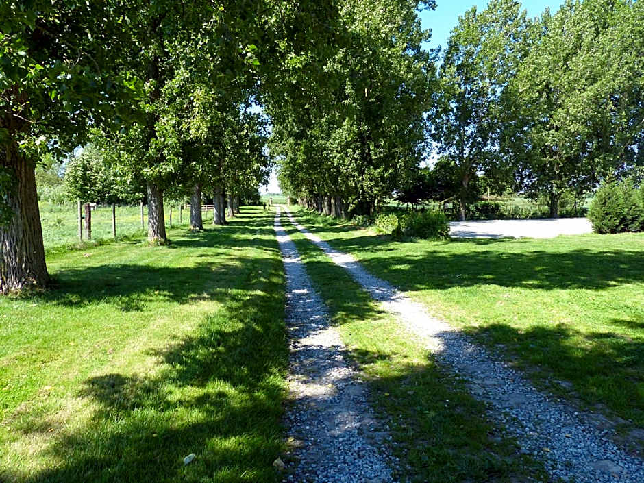 Paardenhof Guesthouse