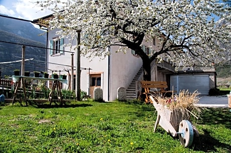 B&B La Fosina