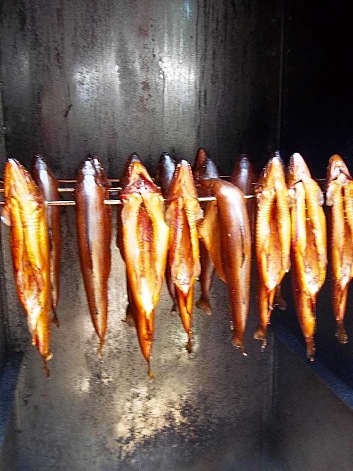 Przystań nad Sołą