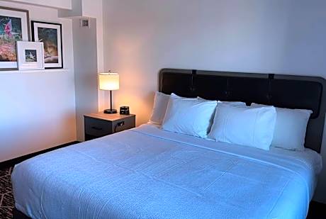 1 King Bed Non-Smoking